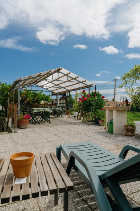 Garden, Garden view, furniture, sunbed