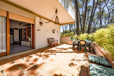 Patio, Day, Balcony/Terrace, Garden view