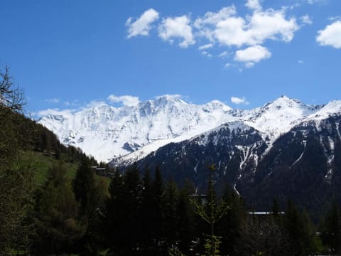 Chalet De Praz Marvel - Joli chalet 8 personnes à Plan Peisey proche des pistes et des commerces MAE-4431 Chalet in St Martin Belleville