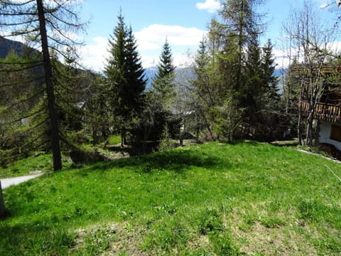 Chalet De Praz Marvel - Joli chalet 8 personnes à Plan Peisey proche des pistes et des commerces MAE-4431 Chalet in St Martin Belleville