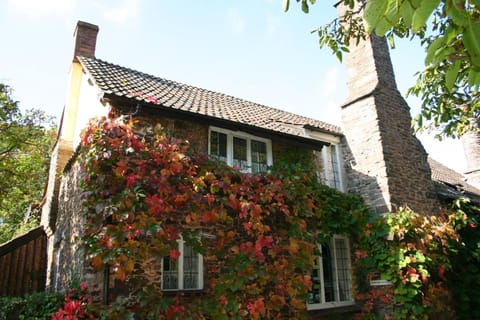 Tudor Cottage Bed and Breakfast in West Somerset District