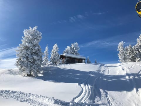 Haus Schlechter Apartment in Mayrhofen