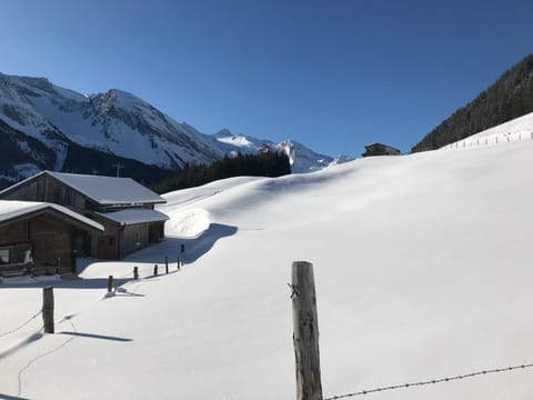 Haus Schlechter Apartment in Mayrhofen