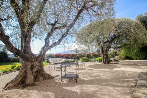 Garden, Garden view