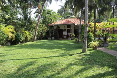 Property building, Natural landscape, Garden