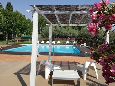 Spring, Garden, Pool view, Swimming pool