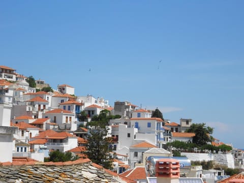 Aggela Guesthouse Alojamiento y desayuno in Skopelos