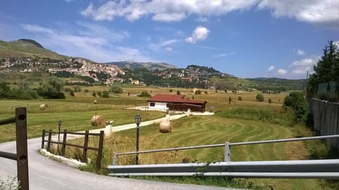 Day, Neighbourhood, Garden view