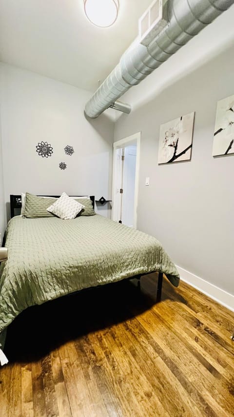 Modern Pilsen Chicago Apartment 2 bedroom Apartment in Lower West Side