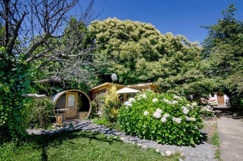 Garden, Communal kitchen