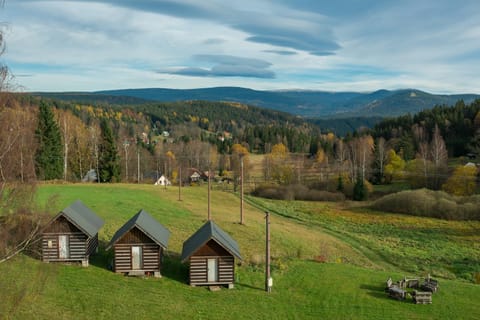 Natural landscape, Garden, Mountain view