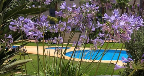 Garden, Swimming pool, Swimming pool