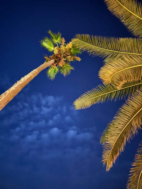 The Korčula Outlook - Bedrooms Vacation rental in Korčula