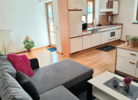 Living room, Seating area, dishwasher, oven, stove