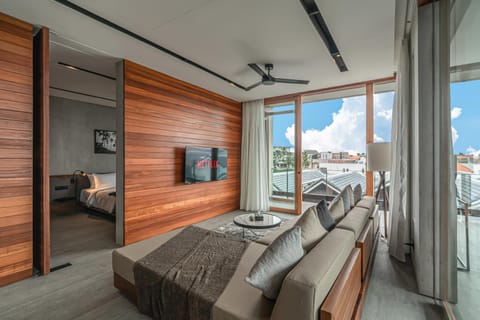 TV and multimedia, View (from property/room), Living room, Seating area