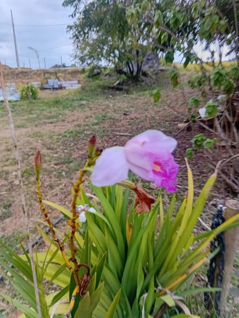 Sitio Vivendas da Lua House in Juiz de Fora