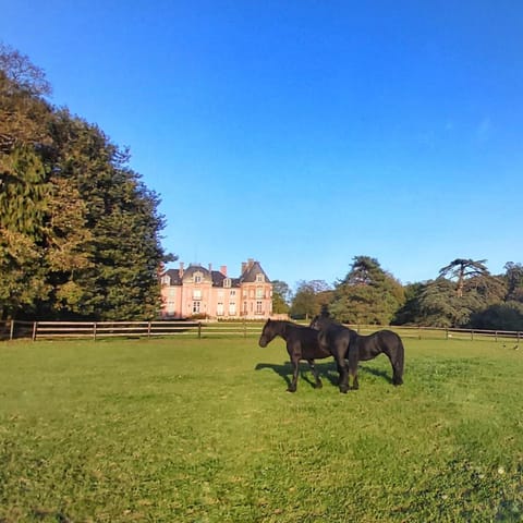 Garden, Animals