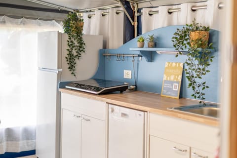 Magnolia - Union Lido Campground/ 
RV Resort in Cavallino-Treporti