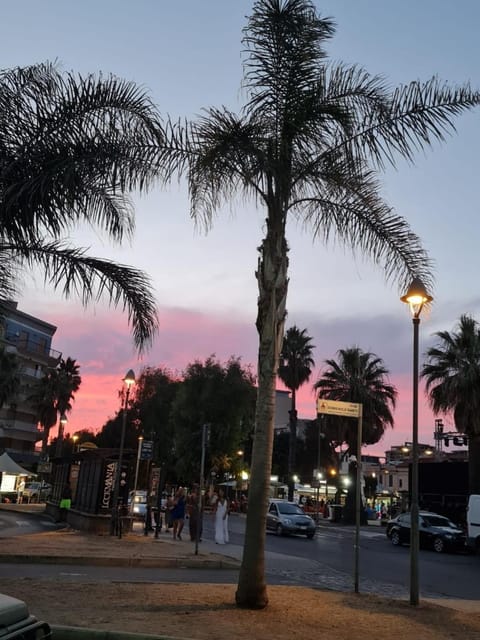 Summer, City view, Location, Sunset
