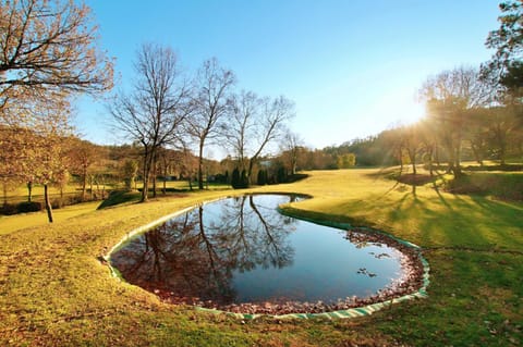 Nearby landmark, Garden, Garden view