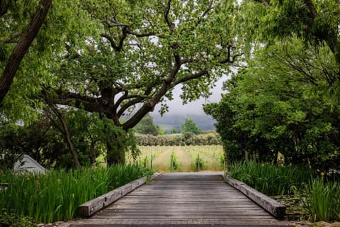 Natural landscape, Garden view, Mountain view