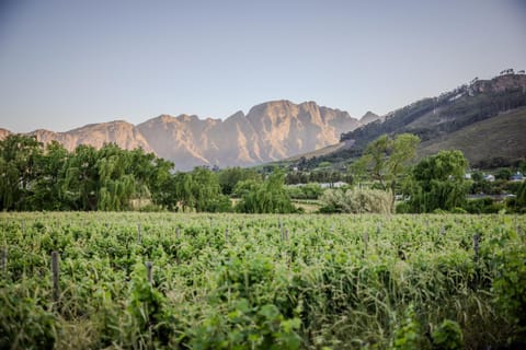 Natural landscape, Mountain view