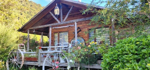 Entre Esteros Hornopiren Country House in Los Lagos, Chile