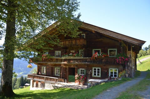 Property building, Spring, Day