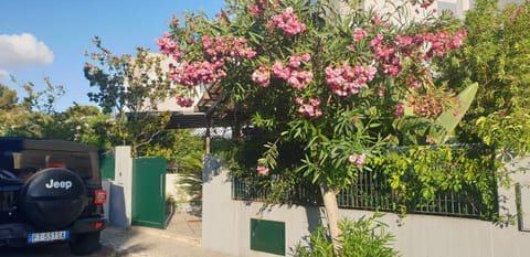 Property building, Facade/entrance, Garden