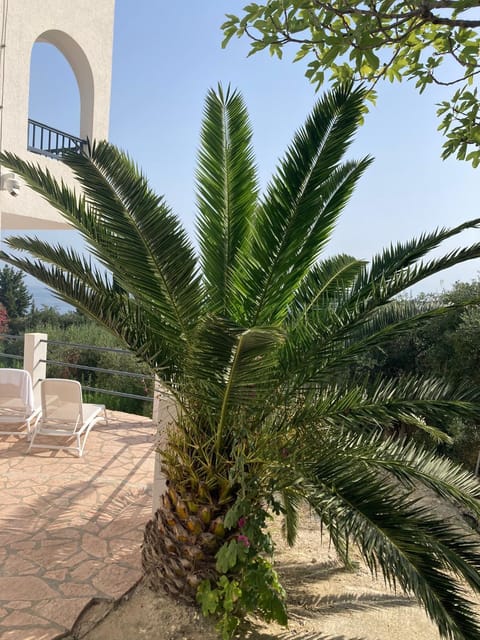 Villa Ocean Breeze Terracce Apartment in Corfu, Greece