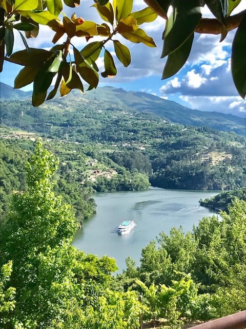 Pedacinho de Mundo Douro Country House in Porto District