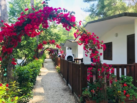 Property building, Garden, Garden view