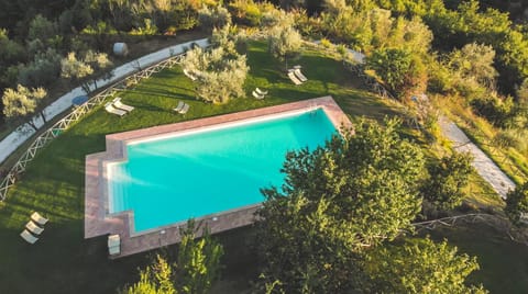 Spring, Bird's eye view, Pool view