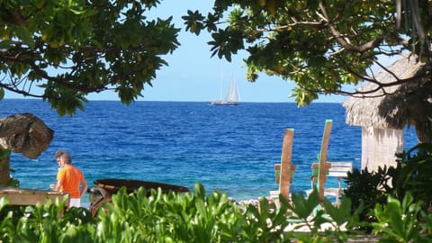 Green Lodge Moorea Alojamiento y desayuno in Moorea-Maiao