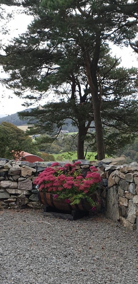 Gorse Hill Farm House in Northern Ireland