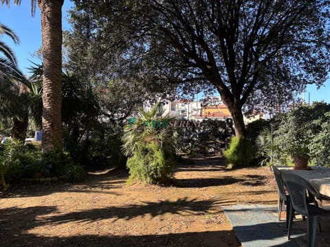 Spring, Day, Natural landscape, Garden, Garden, Garden view