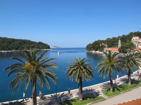 Apartments Seafront Appartement in Cavtat