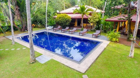 Natural landscape, Garden, Garden, Garden view, Pool view, Swimming pool, Swimming pool