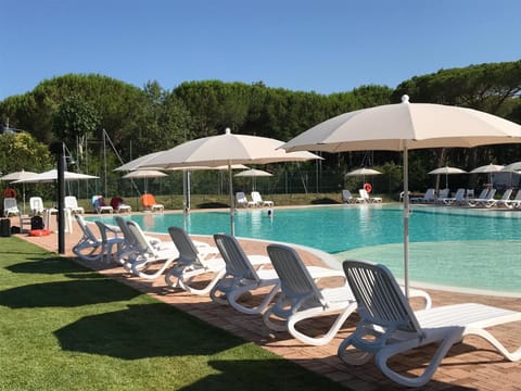 Day, Garden, Pool view, Swimming pool