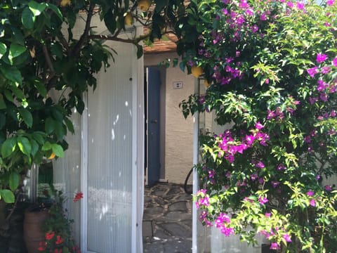 Facade/entrance, Spring