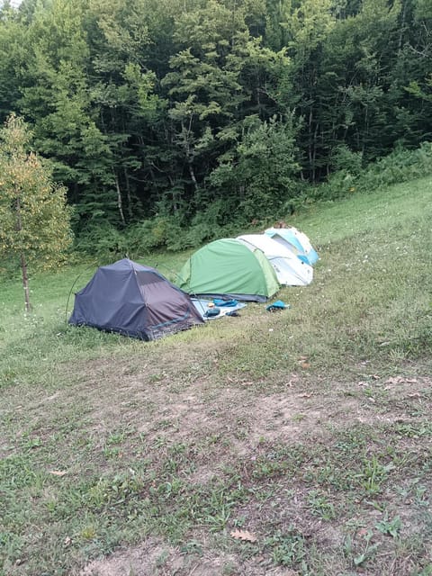 Wild Camping Albareto Campground/ 
RV Resort in Province of Massa and Carrara