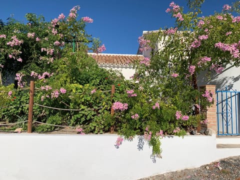 Facade/entrance, Natural landscape, Garden view