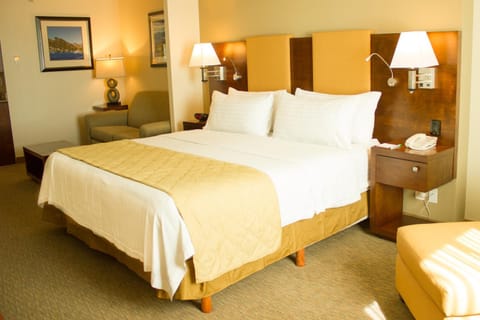 Holiday Inn Hotel & Suites Hermosillo Aeropuerto, an IHG Hotel Hotel in Hermosillo