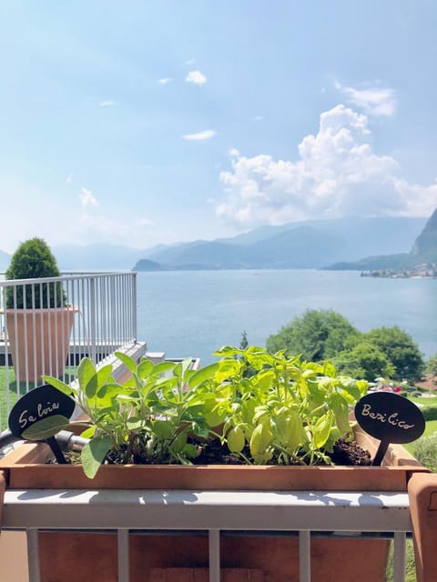 Patio, Balcony/Terrace, Lake view