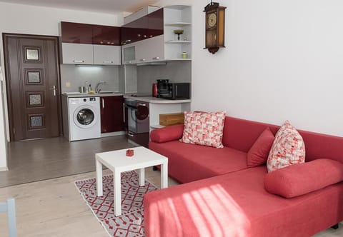 Kitchen or kitchenette, Living room, Seating area, washing machine