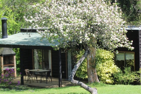 Cabañas Am Berg Apartment in Pucon