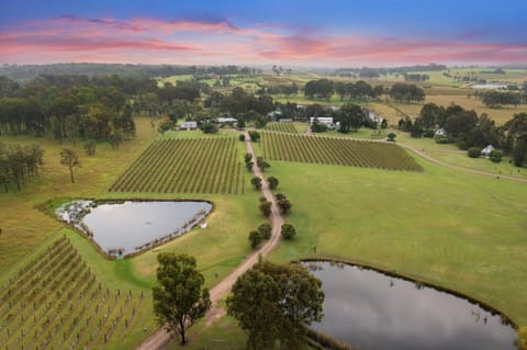 Bracken Ridge Vineyard - The Bonavista - Villa 2 Villa in Rothbury