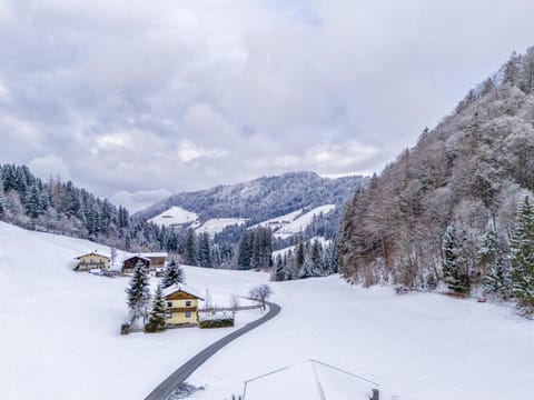 Winter, View (from property/room)