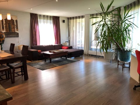Lounge Park Apartment Condo in Amsterdam
