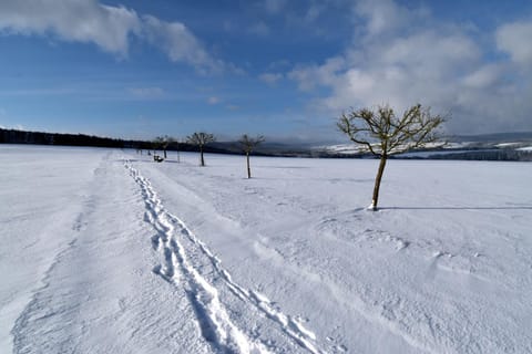 Natural landscape, Hiking